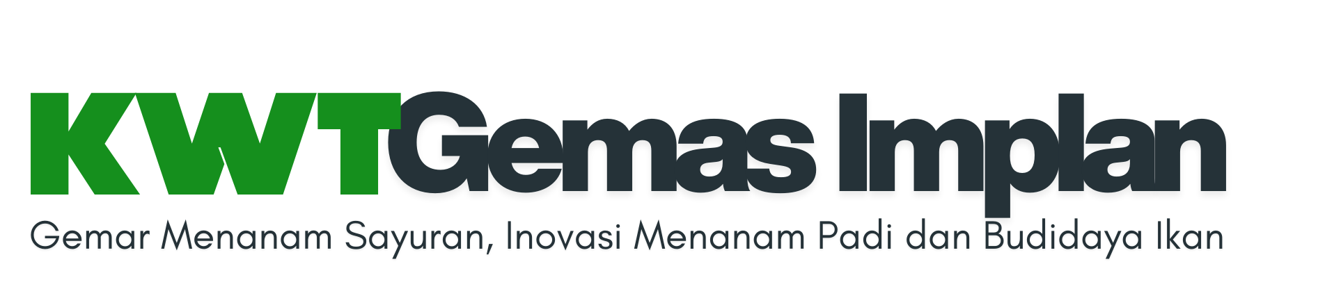 Gemar Menanam Sayuran