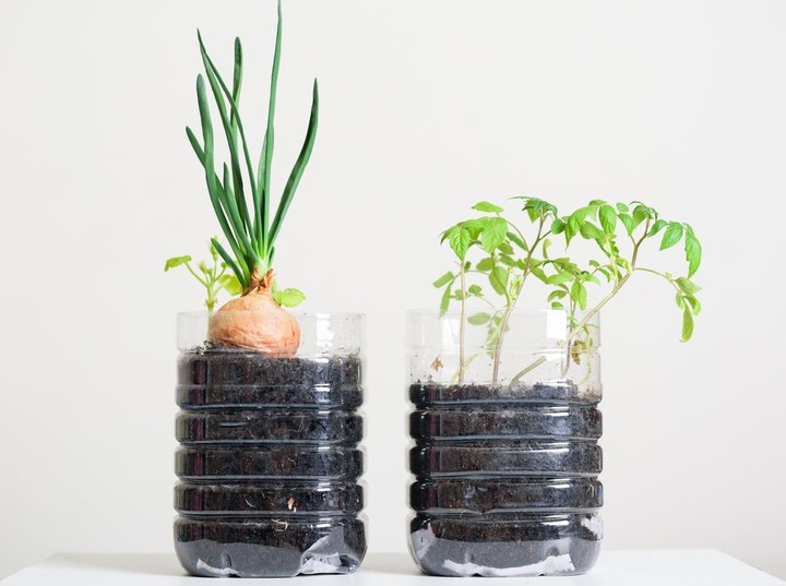 Gunakan Barang Bekas sebagai Pot