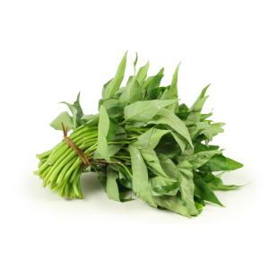 Kangkung
